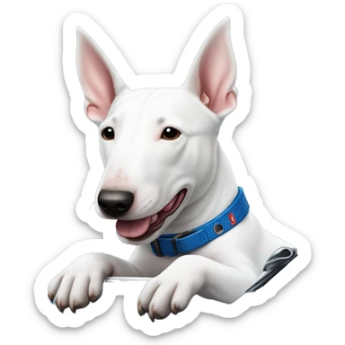 Bull terrier in blue c6 corvette sticker