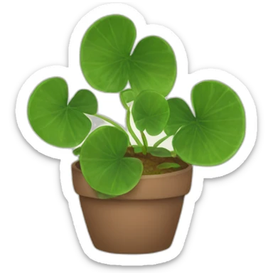 Pilea sticker