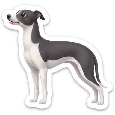 Italian greyhound  sticker