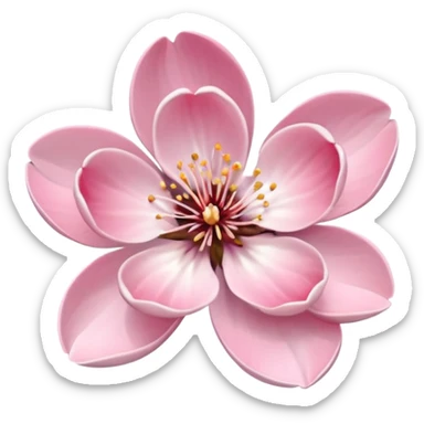 pink framed photo of a blossom sticker