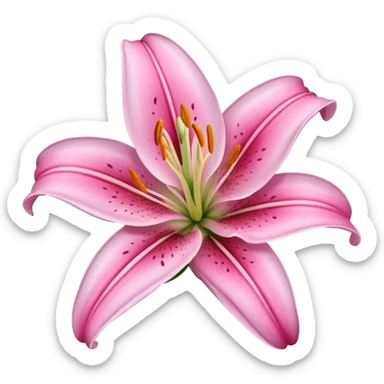 pink lily sticker