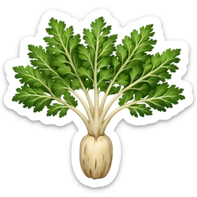 parsley root sticker