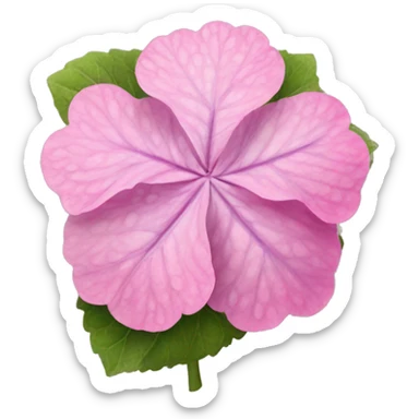 Pink Hortensia  sticker