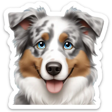 Blue eyed Australian shepherd  sticker