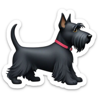 scottish-terrier-dog-walking sticker