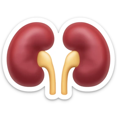 kidney emoji sticker
