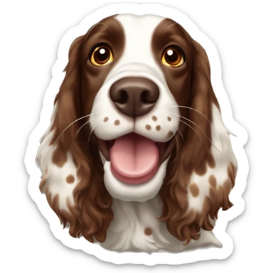 happy brown Springer spaniel with brown spots, mouth open and a small, thin blaze sticker