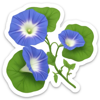Morning Glory sticker
