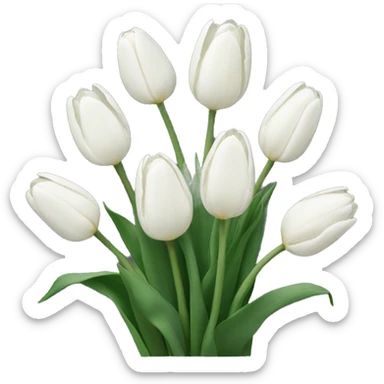 White tulips sticker