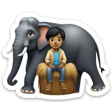 Indian boy with black hair riding a elephant sticker