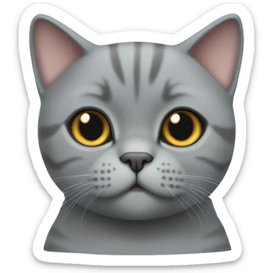 Cute Grey British shorthair cat  sticker