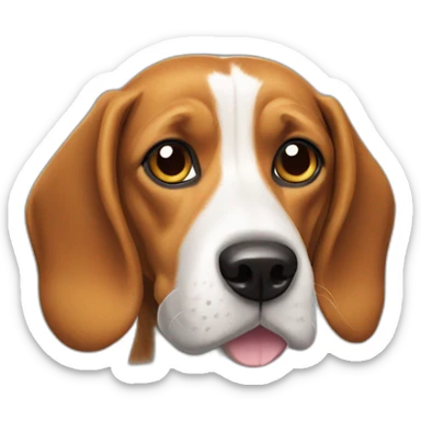 Beagle croisé teckel sticker