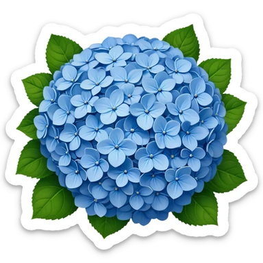 Beautiful blue hydrangea flower cluster with rounded ball shape and lush green leaves sticker