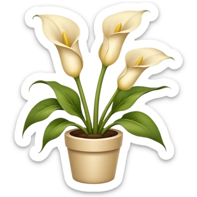 Beige Calla plant sticker