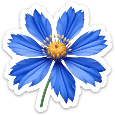 cornflower sticker