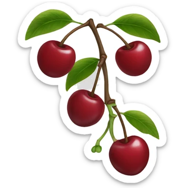 Cherry  sticker