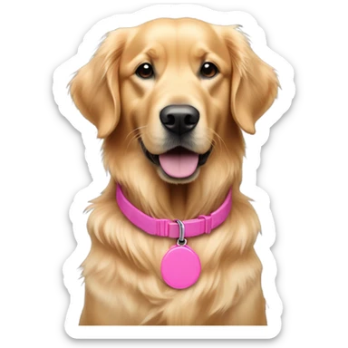 Golden retriever with pink collar wearing pink air Jordan’s sticker