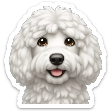 caniche blanco con correa azul y pelado sticker