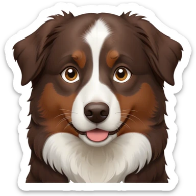 All Dark Brown mini Australian shepherd with white in middle of forehead and no white on nose sticker