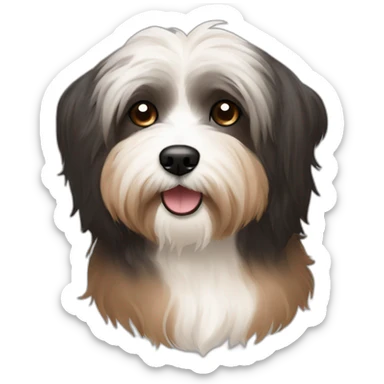 Havanese dog black face and brown body  sticker