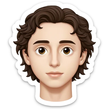 timothee chalamet sticker