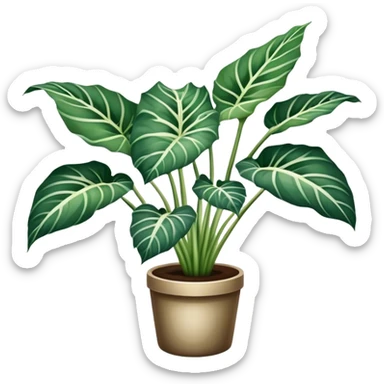 variegated white alocasia sticker