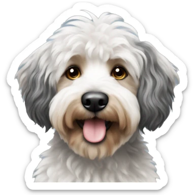 Aussidoodle with black and white hair  sticker