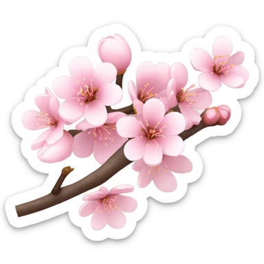 Light pink cherry blossom  sticker