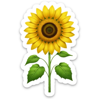 Girasol sticker