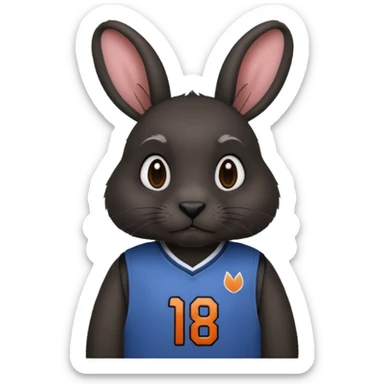 black rabbit with jersey sticker