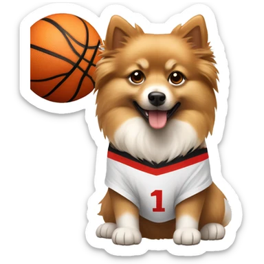 Light brown and white German spitz wearing a basketball jersey with a number one on it sticker