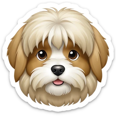 Beige and white Tibetan terrier  sticker