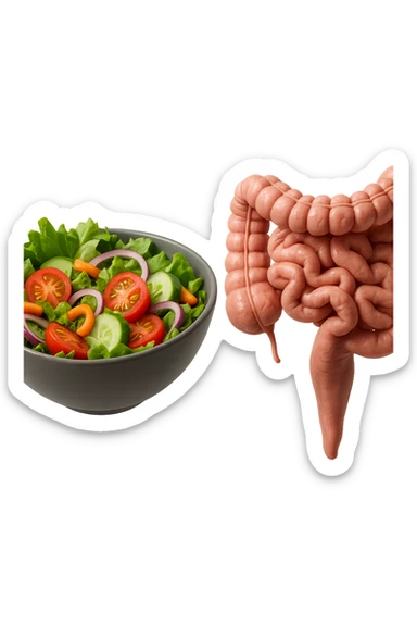 bowl di insalata fluttua in aria insieme ad intestino umano anatomico realistico, IPERREALISTICO 4K sticker