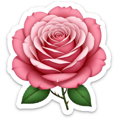 rose shape flower, no stem, no leaves, now make the petals white sticker