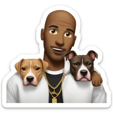 a rapper with a big pitbull sticker