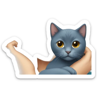 Japanese girl holding Two Russian Blue cats sticker