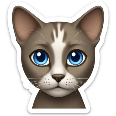 Dark Brown face - beige body and ears female thai cat with blue eyes  sticker