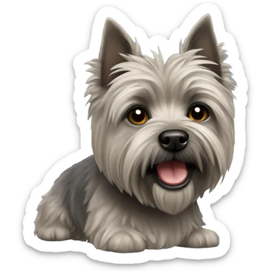 Gray cairn terrier sticker