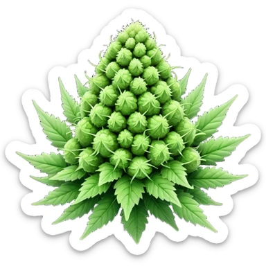 Cannabis nug  sticker