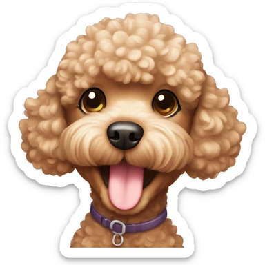 Toy poodle smiling  sticker