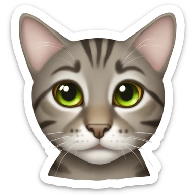 Tabby cat grey brown green eyes  sticker