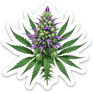 Cannabis plant with purple buds, crystal trichomes, and small wedding elements, wedding crasher strain sticker
