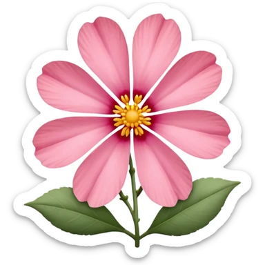 coquina flower sticker