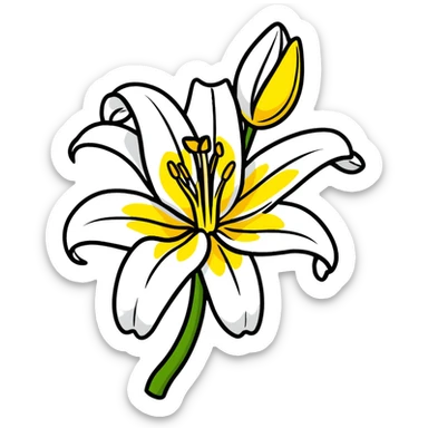 Delicate lily flower with white petals and yellow stamen, decorative design sticker
