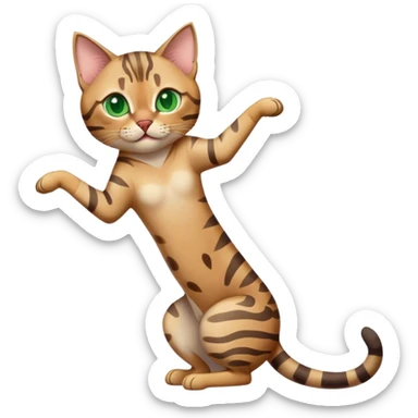 Light Grey bengal cat with green eyes stretching sticker