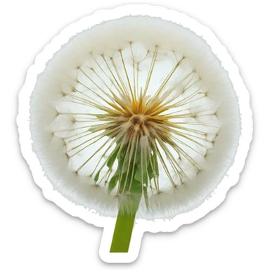 dandelion from Perm State University sticker