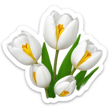 white tulips  sticker