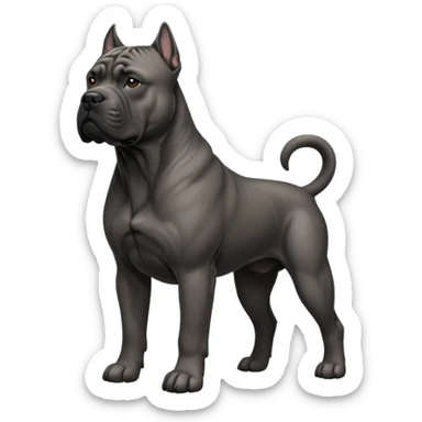 Cane Corso Dog Preliminary Acceptance Inspection sticker