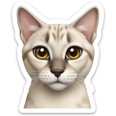 Lynx point Siamese  sticker