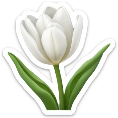 White tulips sticker